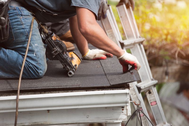Skilled Roof Repair Specialist