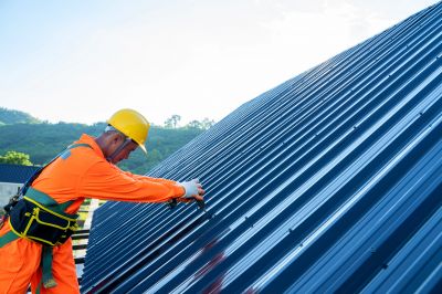 Professional Roofing Contractors